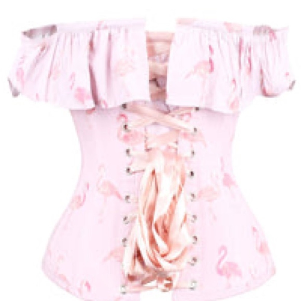 NWT- Pink Flamingo Corset Story Corset, UK 24 - Picture 13 of 14